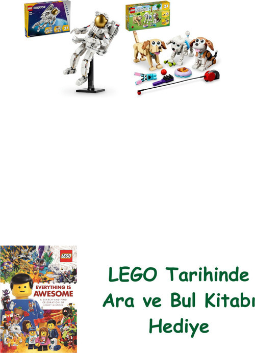 ® Creator Seti 81 (31152 + 31137) + Ara Ve Bul Kitabı Hediye