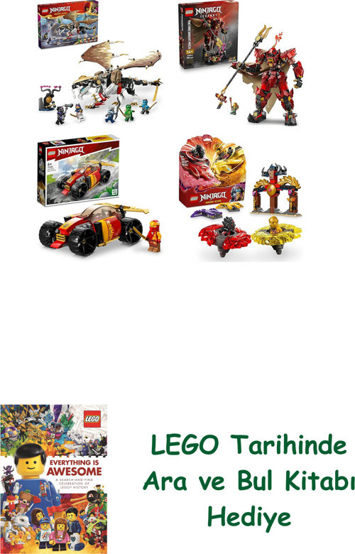 ® Ninjago Seti 249 (71809 + 71846 + 71780 + 71826)