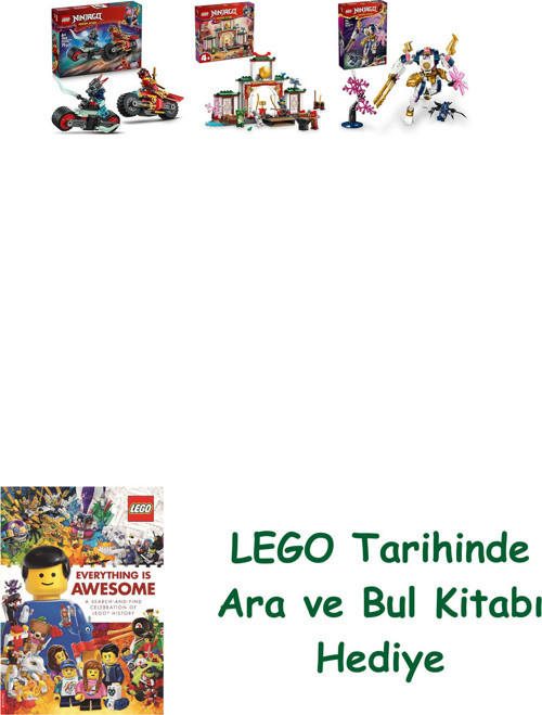 ® Ninjago Seti 166 (71838 + 71831 + 71807)