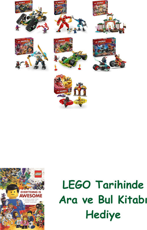 ® Ninjago Seti 504 (71820 + 71808 + 71831 + 71827 + 71828 + 71838 + 71826)