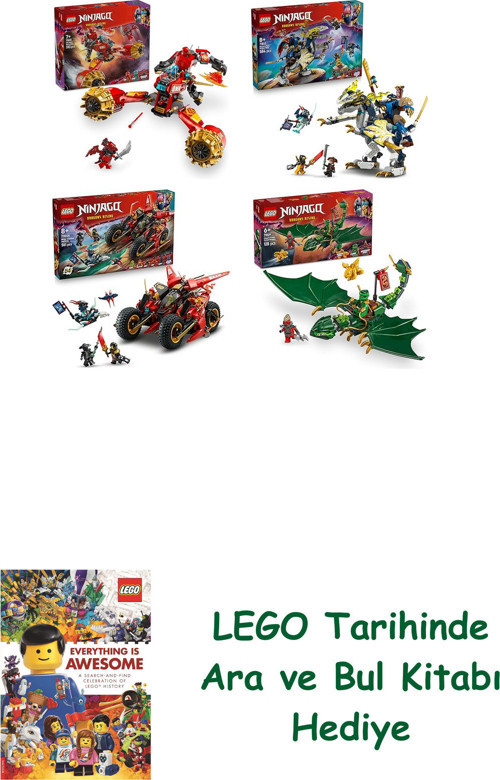 ® Ninjago Seti 242 (71830 + 71843 + 71844 + 71829)