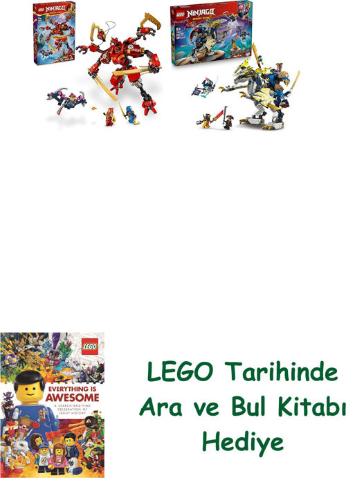 ® Ninjago Seti 21 (71812 + 71843)