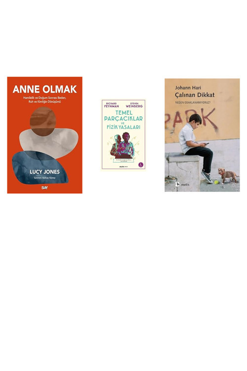 Alfa Yayıncılık Anne Olmak: Hamilelik Ve Doğum Sonrası Beden, Ruh Ve Kimliği... +2 Bilim Kitabı