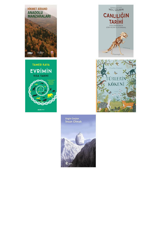 Alfa Yayıncılık Beyindeki Aynalar: Zihinlerimiz, Eylemleri Ve Duyguları Nası... +4 Bilim Kitabı