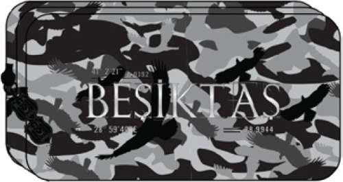 Beşiktaş Kamuflaj Baskı Batik Çift Gözlü Kalemlik / 23310