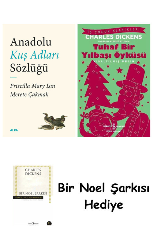 İş Bankası Kültür Yayınları Anadolu Kuş Adları Sözlüğü + Tuhaf Bir Yılbaşı Öyküsü + Bir Noel Şarkısı