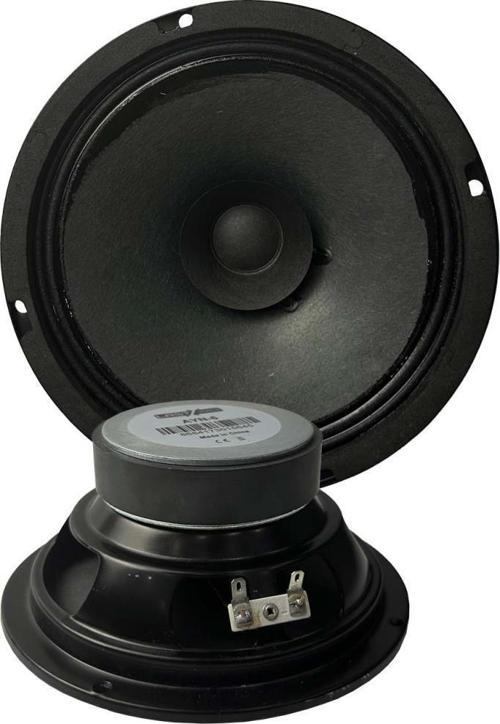 AYN-6 Full Kağıt 100 Watt 8 Ohm 16 cm 6 İnç Hoparlör (Adet)
