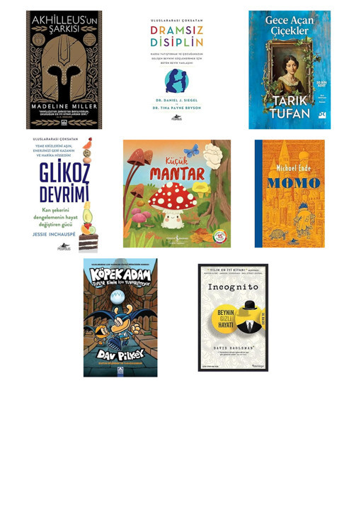 İş Bankası Kültür Yayınları Akhilleus’Un Şarkısı... +7 Kitap