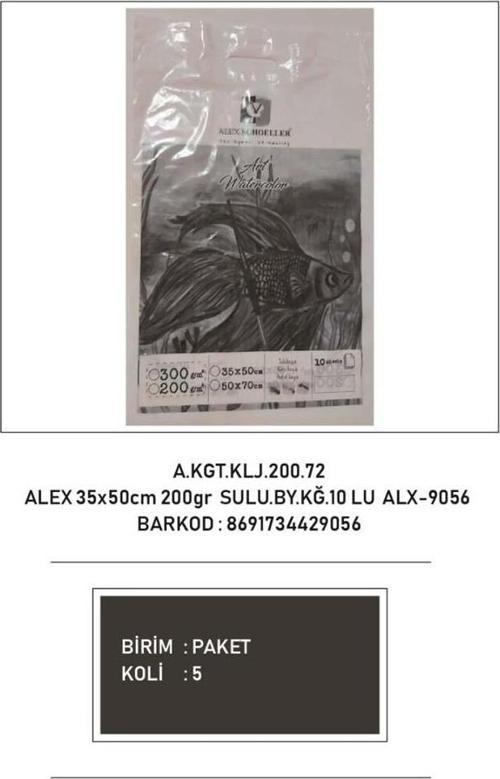 Sulu Boya Kağıdı 35x50 Cm 200 GR 10 Lu ALX-9056