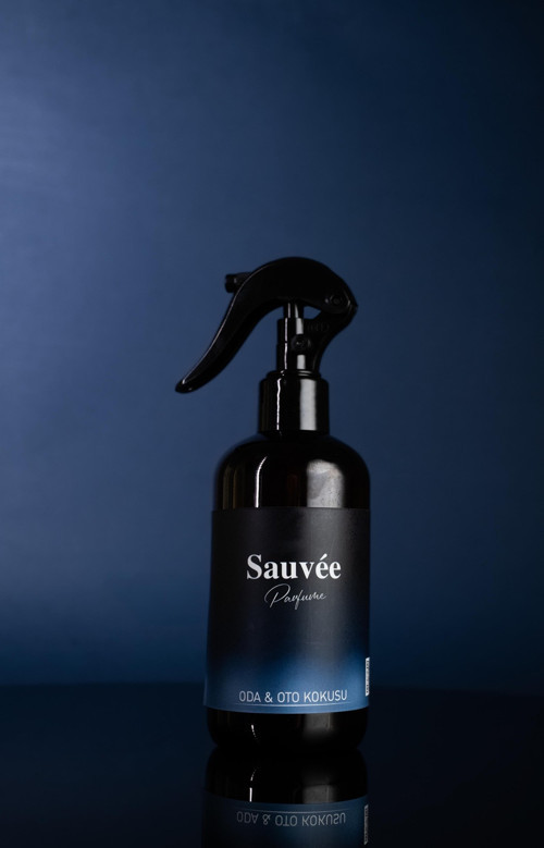 D.Sauvee Oto Ve Ortam Kokusu 250 Ml