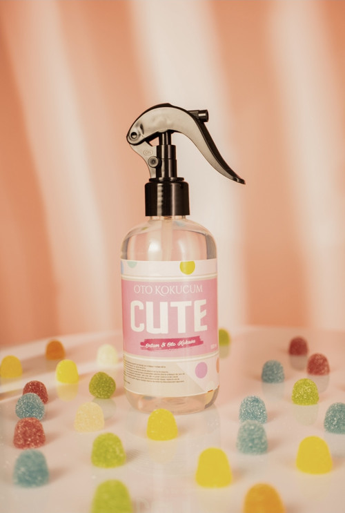 Cute 250 Ml Oda Ve Oto Kokusu