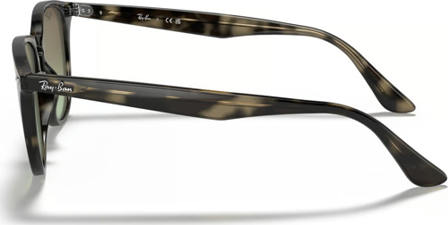 RAYBAN RB 4259 731/E8 51