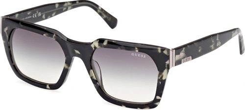 GU 00172 98P 53