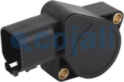 GAZ PEDAL SENSORÜ RENAULT EURO 3-5 7482492421