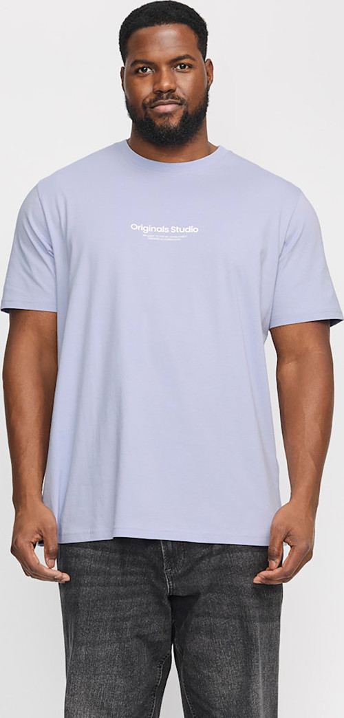 Jack & Jones Vesterbro Erkek Mor Tişört (12248177-CS)