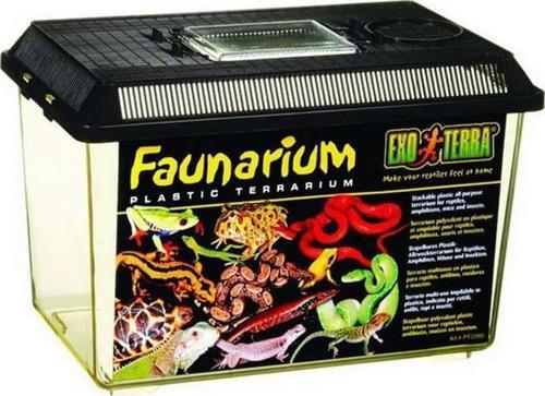 Exo-Terra Fanarium Medium