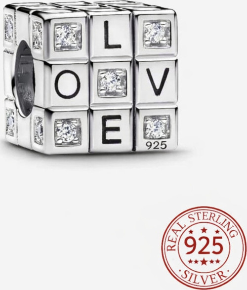 S925 Hareketli Zeka Küpü Charm