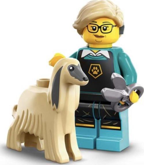 Minifigures 71045 Series 25 : 12.Pet Groomer +5 Yaş (1 Parça)