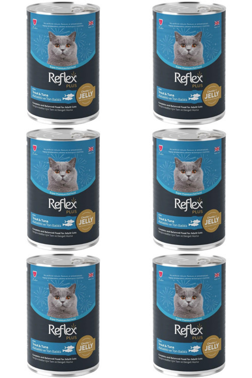 Plus Jöle İçinde Parça Etli Alabalık ve Ton Balıklı Yetişkin Kedi Konservesi 400gr - 6 Adet