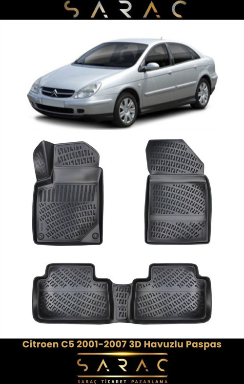 Citroen C5 2003 Model 3D Havuzlu Paspas