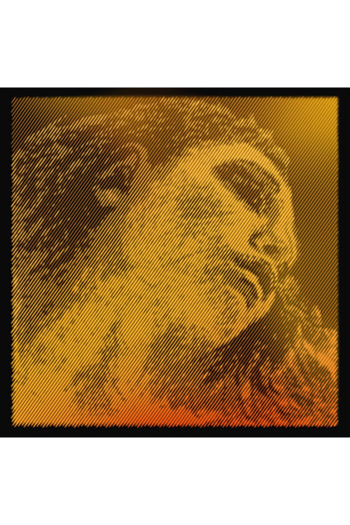 Evah Pirazzi Gold E ( Mi ) Tek Keman Teli 315421