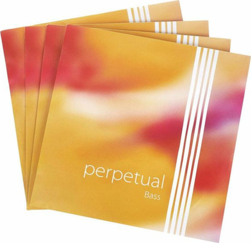 Kontrbas Tel Perpetual Set Solo