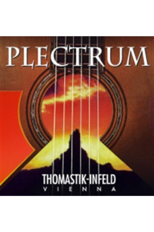 Gitar Tel Plectrum B Akustik P13