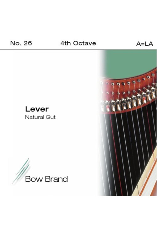 Arp Teli Brand Bağırsak 4. Octave A (la) Lever