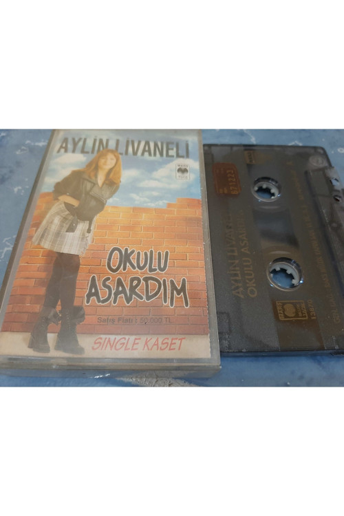 Aylin Livaneli Okulu Asardım Cam Baskı