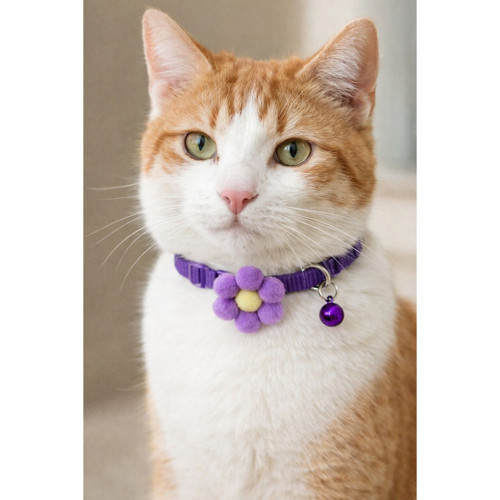 Ponpon Çiçekli Kedi Boyun Tasması 19X1 cm Kırmızı