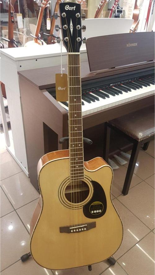 Ad880Cenat Elektro Akustik Gitar Kılıf+Pena+Capo