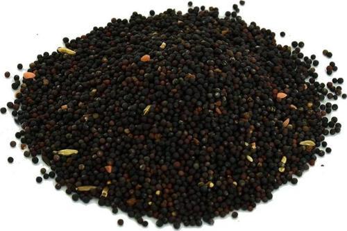 Doğal Saf Tane Siyah Hardal Tohumu 100  gr Paket
