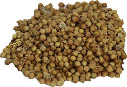Doğal Tane Kişniş Aşotu Kinzi Öğütülmemiş Aş Otu Tohumu 100 gr