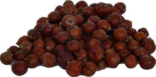 Doğal Ardıç Tohumu Saf Kırmızı Katran Ardıçı Juniper Seed 100 gr