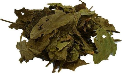 Doğal Ceviz Yaprağı Saf Ceviz Yaprak 100 gr Paket