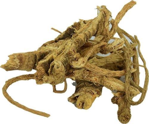 Doğal Melek Otu Kökü Saf Angelica Melekotu Kök 100 gr