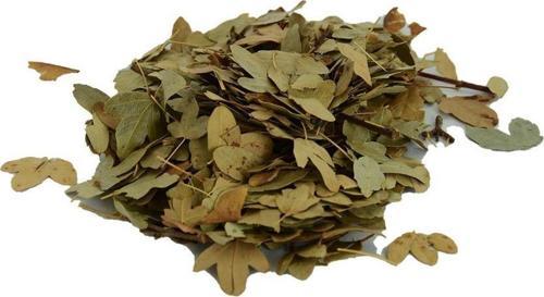 Doğal Şimşir Yaprağı Kurutulmuş Şimşir Ağacı Yaprak 100 gr