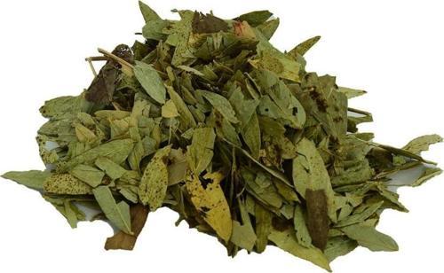 Doğal Sinameki Yaprağı Saf Yaprak Sinameki Otu 100 gr Paket