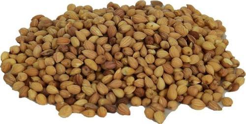 Doğal Tane Mahlep Kokulu Taneli Prunus Mahaleb 100 gr