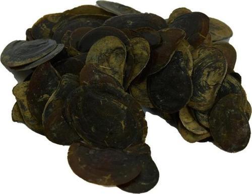 Saf Doğal Cin Tırnağı Bitkisi 100  gr Mini Paket
