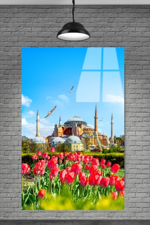 Metacam Güller İçinde Ayasofya Camii Cam Tablosu