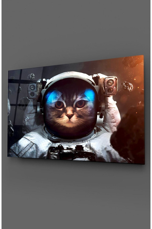 Astronot Kedi Cam Tablo