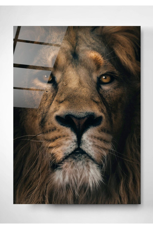 Aslan Cam Tablo