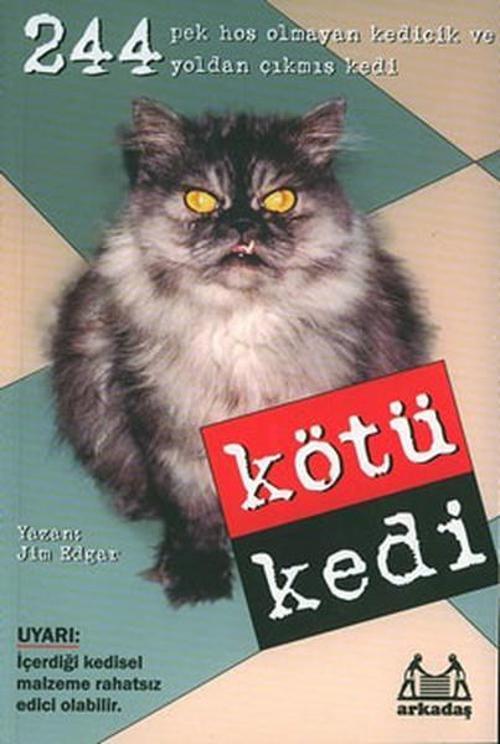 Arkadaş Yayıncılık Kötü Kedi