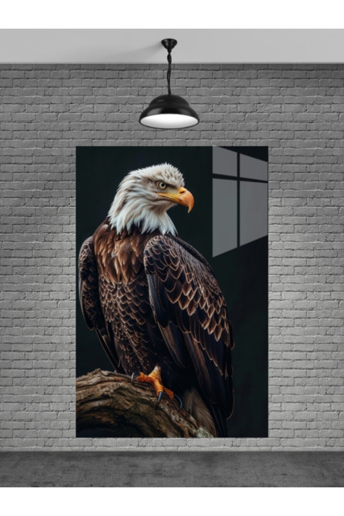 Kartal Cam Tablo Ev Dekorasyon Balkon Dekorasyonu Dekoratif Duvar Tablo Mutfak Tablo