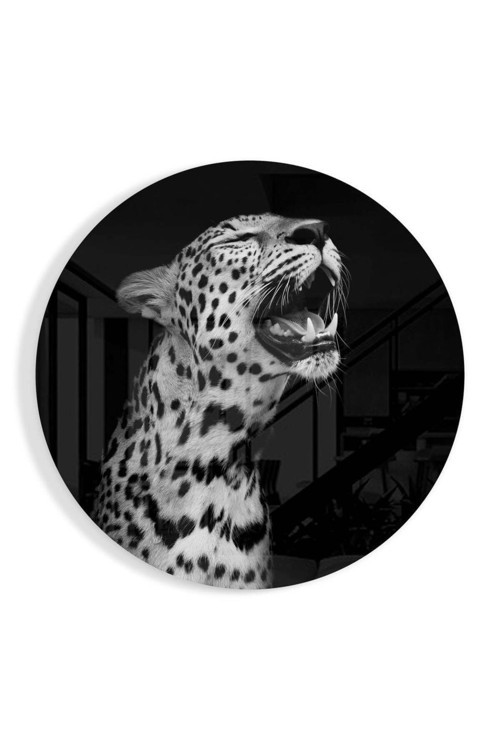 Leopar Cam Tablo No:1096 | Hediyelik Dekoratif Ofis Mutfak