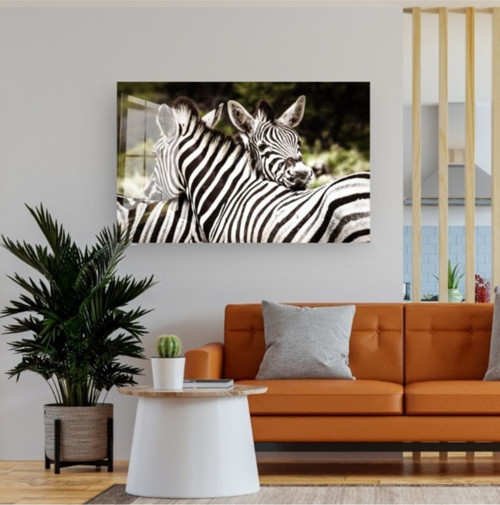 Zebralar Cam Tablo Doğa Tabloları Zebra Tablo Duvar Dekor Büyük Tablo Cam Duvar Tablo