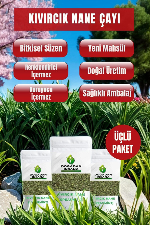 3 Adet Kıvırcık Nane Çayı Spearmint Tea 50 Gr