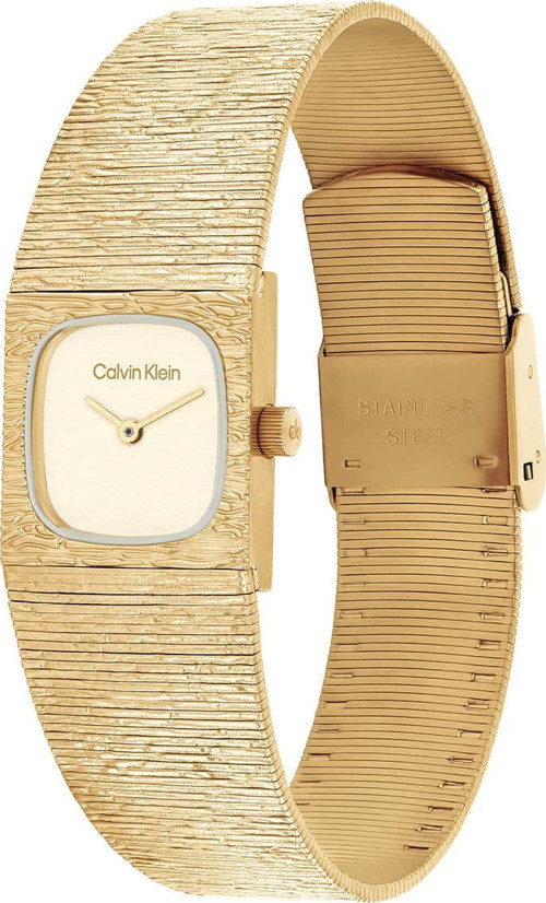 Ck25100178 Kadın Kol Saati