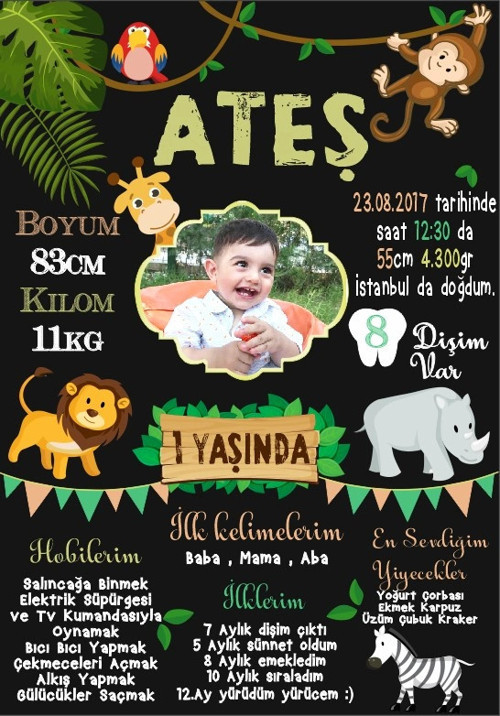 Safari Temalı Yaş Panosu
